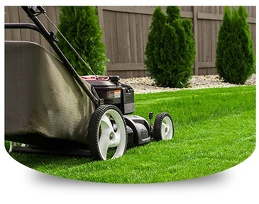 Lawn Care Services Cumming