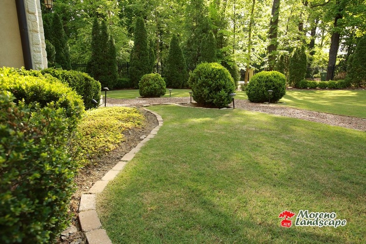 Lawn Care Services Marietta