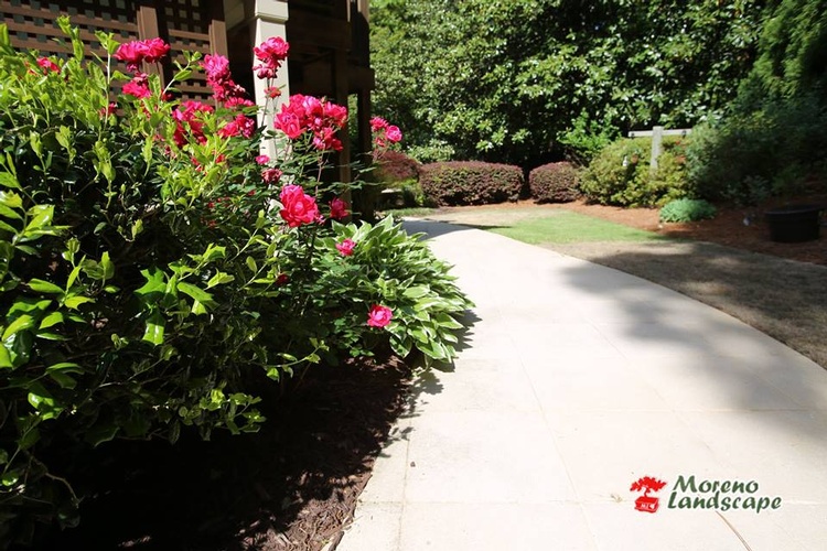 Lawn Care Services Marietta