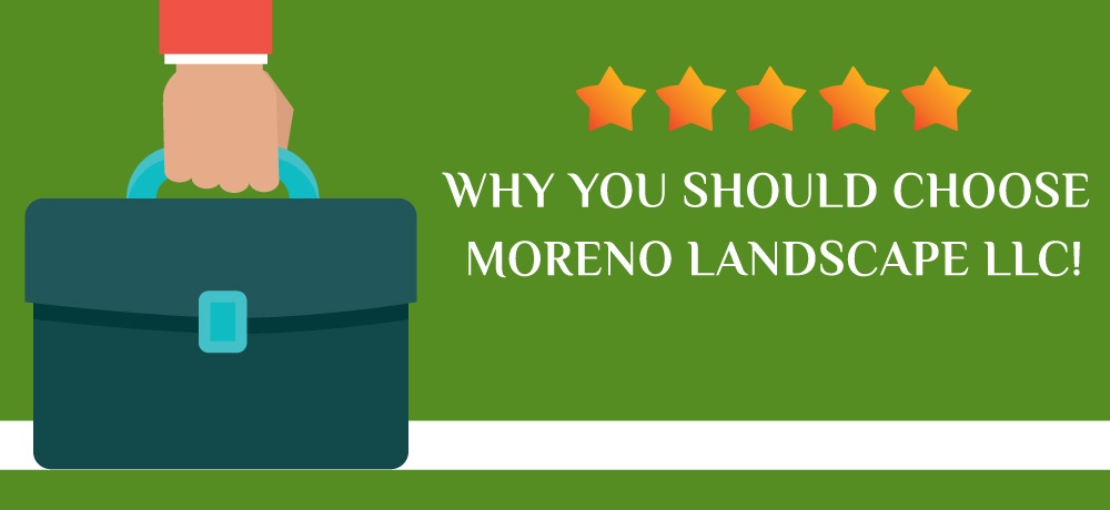 Blog by Moreno Landscape LLC