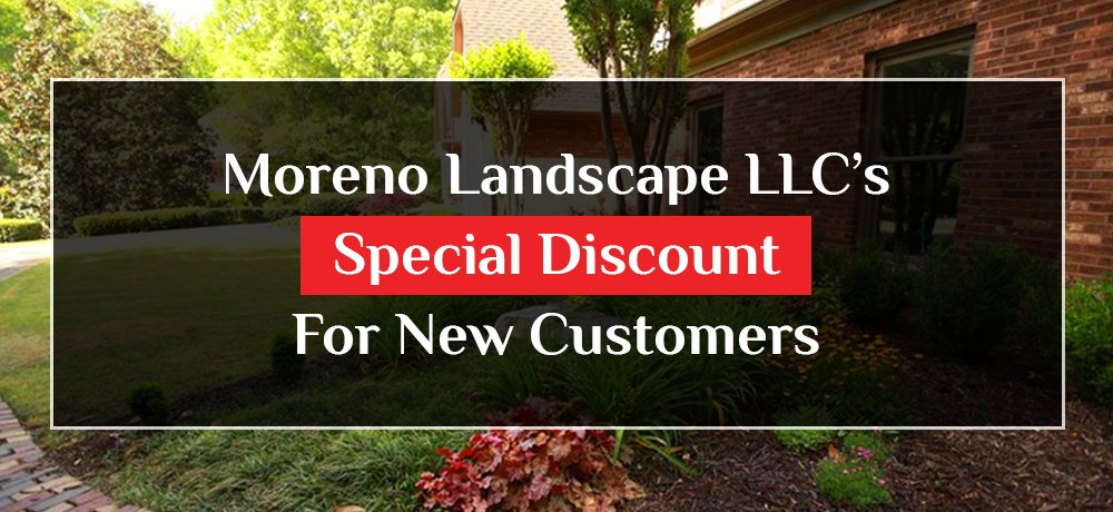 Blog by Moreno Landscape LLC