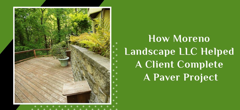 Blog by Moreno Landscape LLC