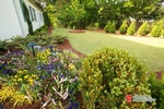 Lawn Care Services Marietta