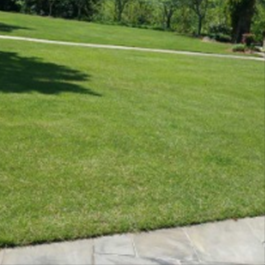 Residential Lawn Care Services