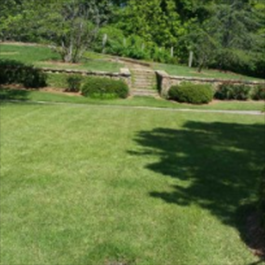 Commercial Lawn Care Services