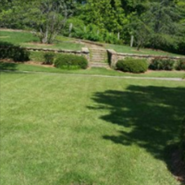 Residential Lawn Care Services