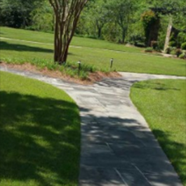 Commercial Lawn Care Services